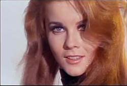 Stojo - The Swinger (1966)